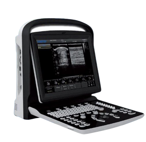 Screenshot_2024-12-21_143804-removebg-preview