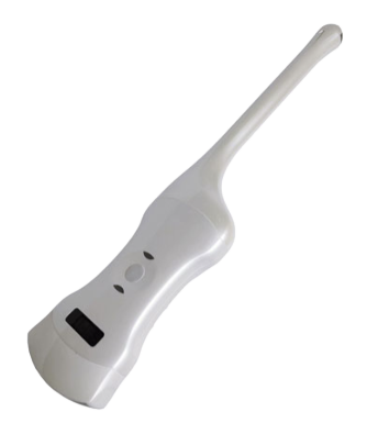Ultrasound Wireless Probe